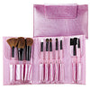 Perfect Ten Brush Set